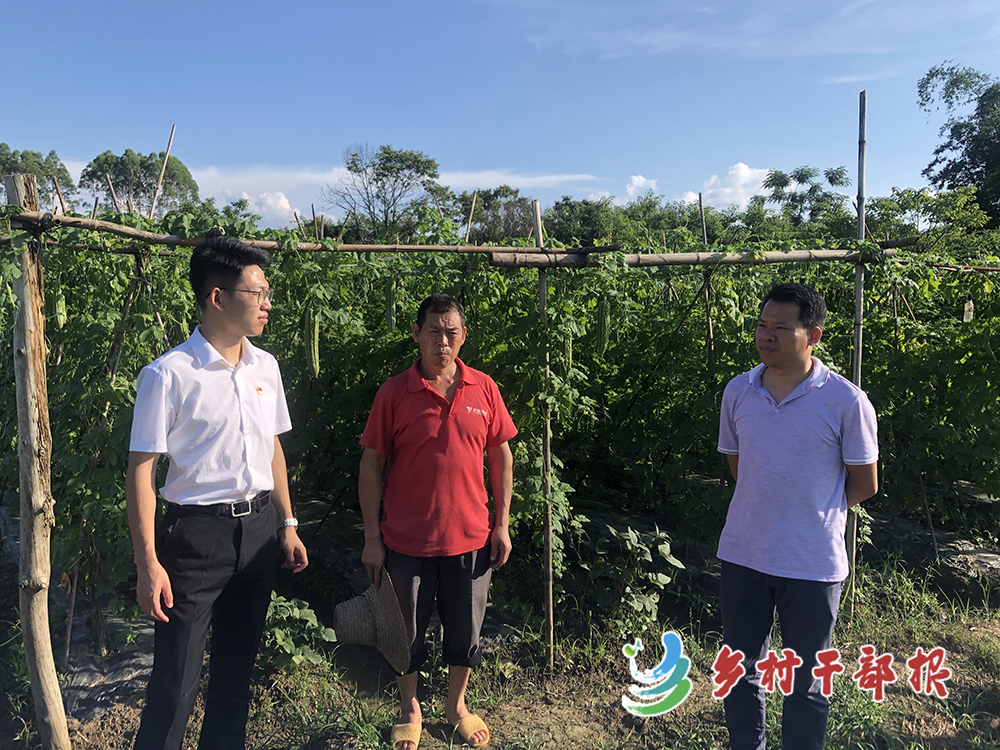 選調(diào)生 馮琨皓（左一）在地頭核對產(chǎn)業(yè)獎補情況。2.jpg